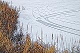 Tracks On Ice_DSCF03825